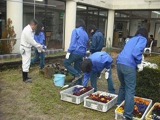 勝浦高校花植.jpg