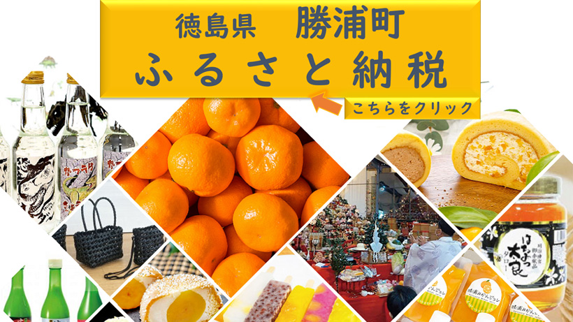 勝浦町ふるさと納税