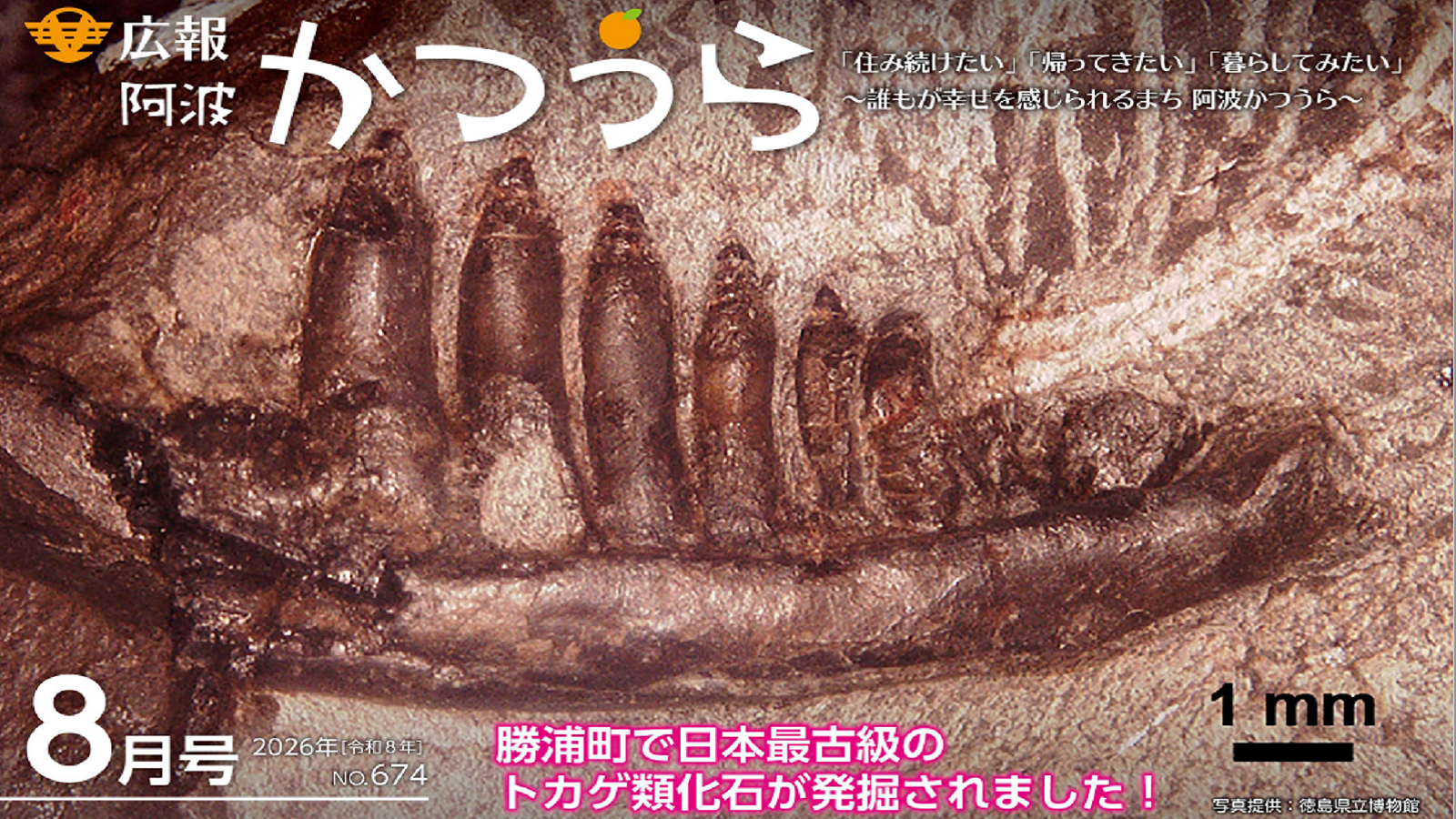 広報阿波かつうら最新号
