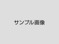 画像の説明