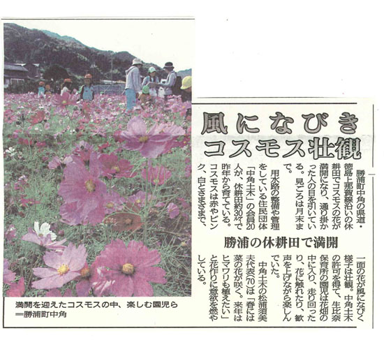１１月１５日新聞記事_s