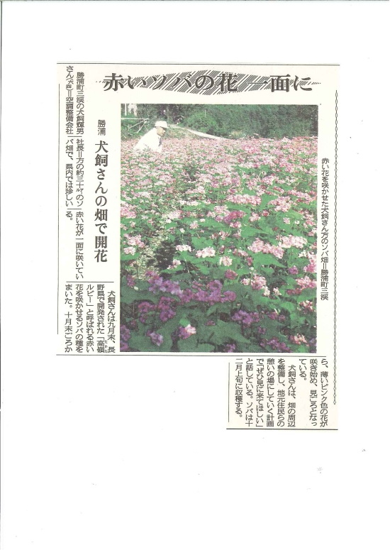 １１月５日新聞記事