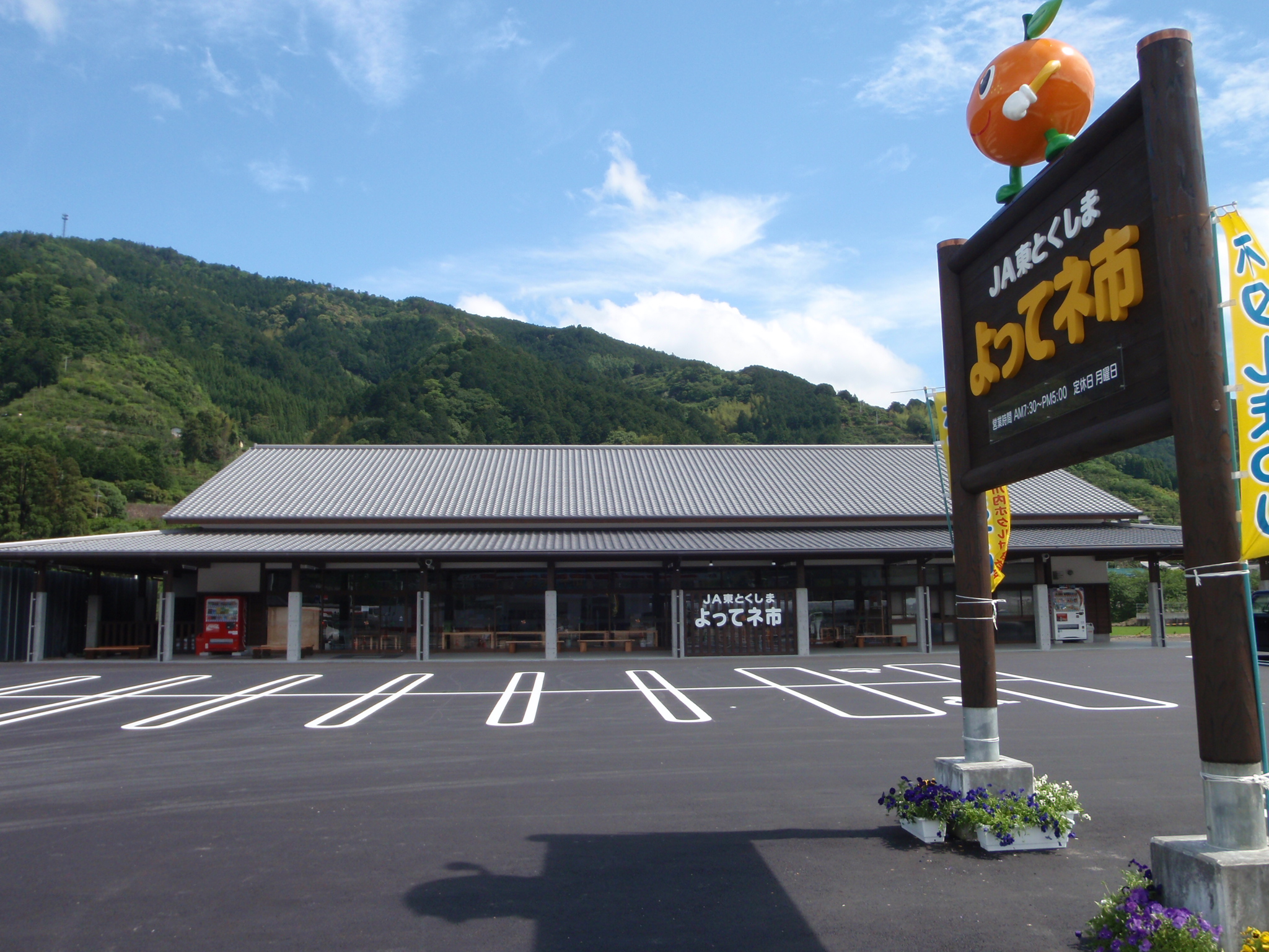 よってネ市全景.JPG