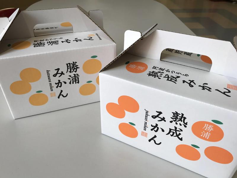 手土産にちょうどいい！熟成みかん・勝浦みかん手提げ箱（3kg）の紹介