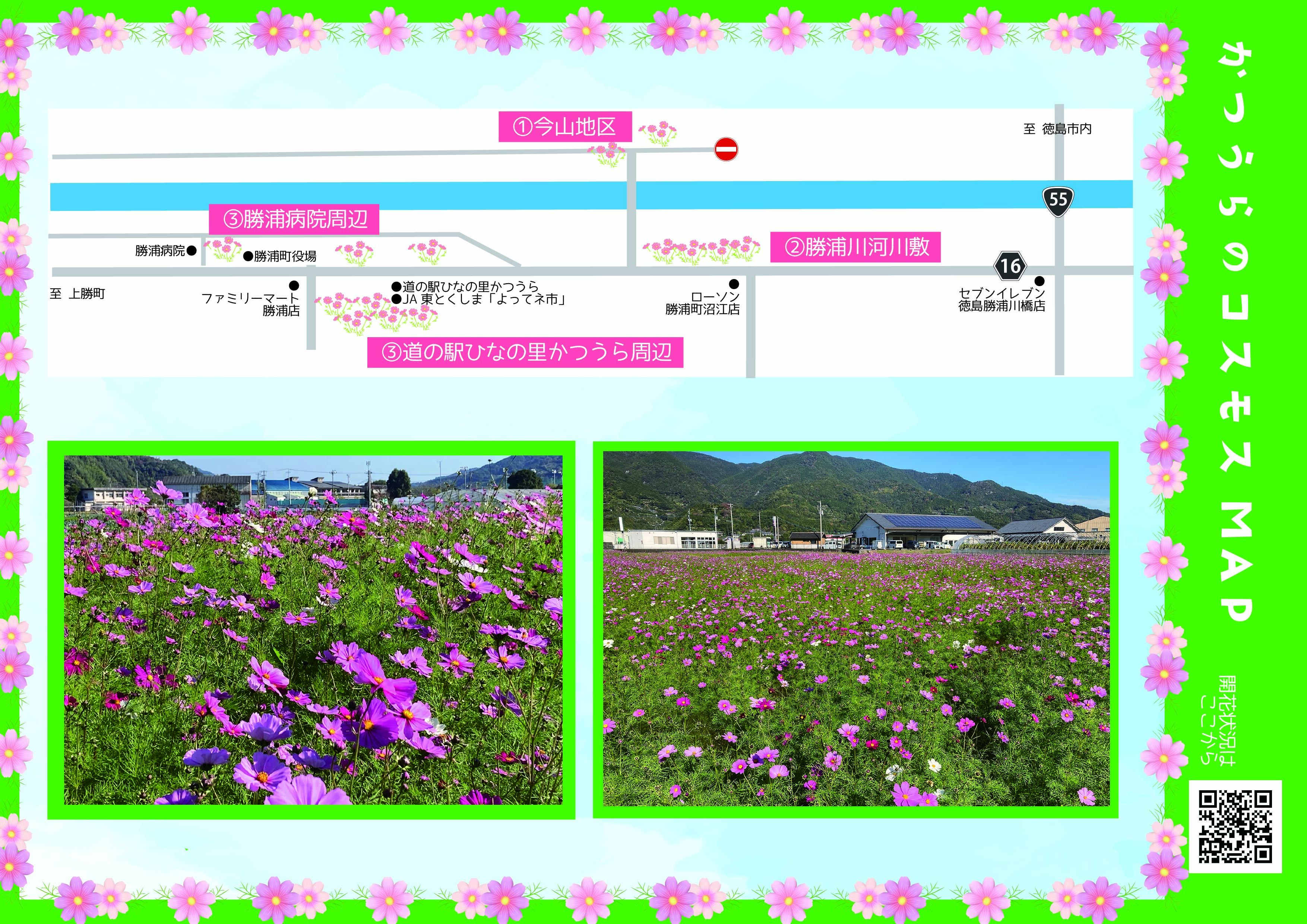コスモスマップ